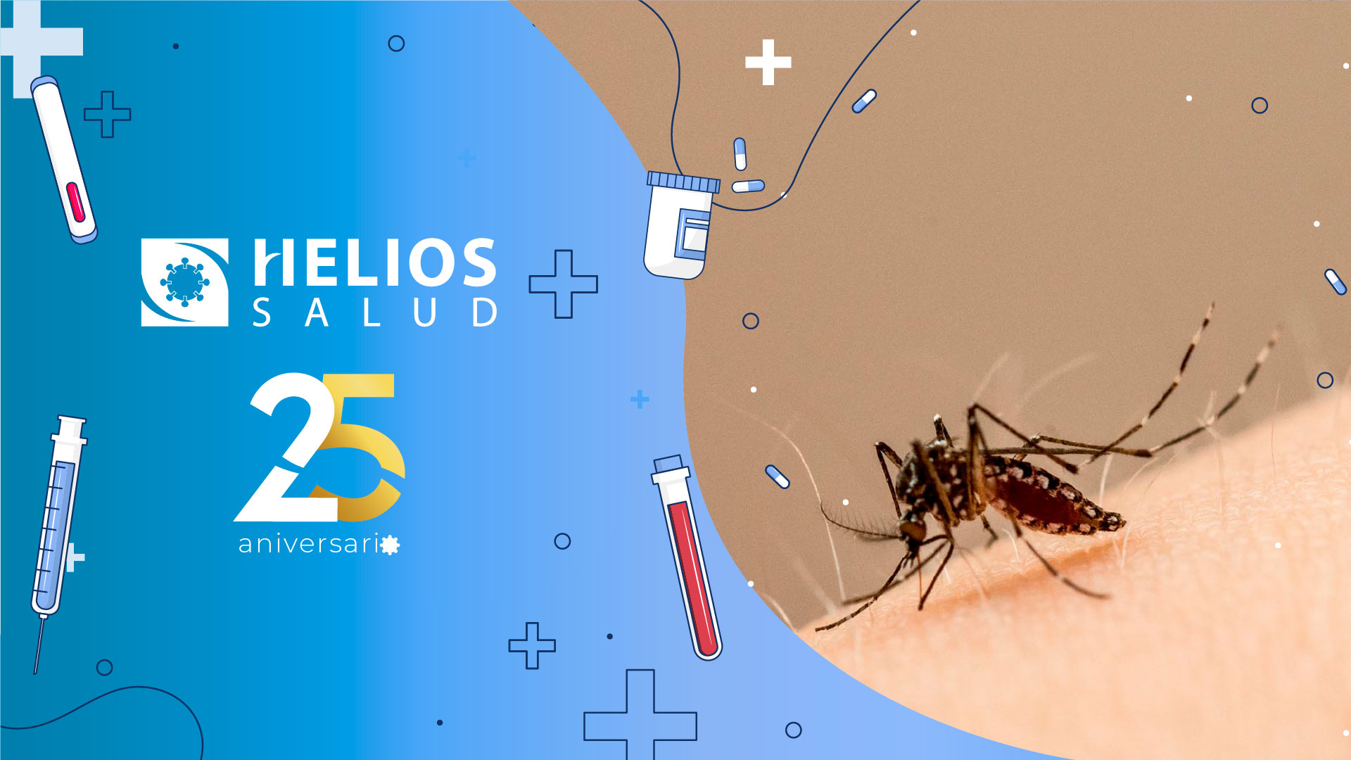 Dengue Zika Y Chikungunya Helios Salud